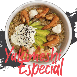 yakimeshi-especial-int