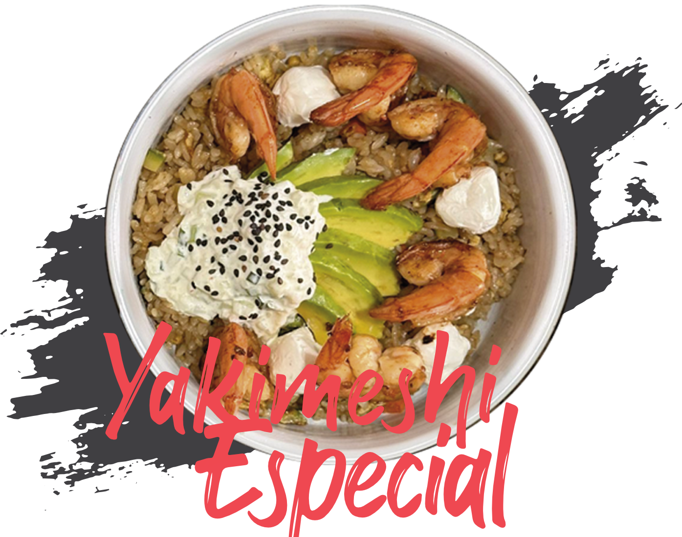yakimeshi-especial-int